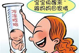 胚胎实验室